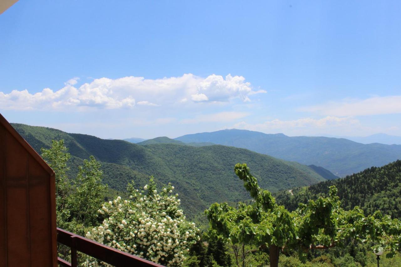 Elatou Hotel Ano Chora Buitenkant foto