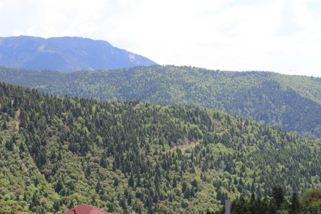 Elatou Hotel Ano Chora Buitenkant foto