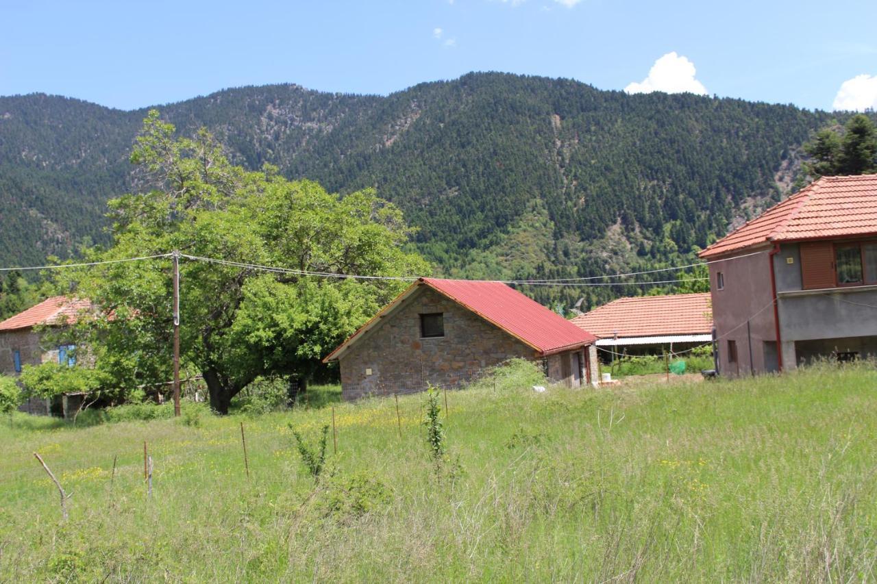 Elatou Hotel Ano Chora Buitenkant foto